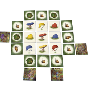 Le Bois des Coua2sous